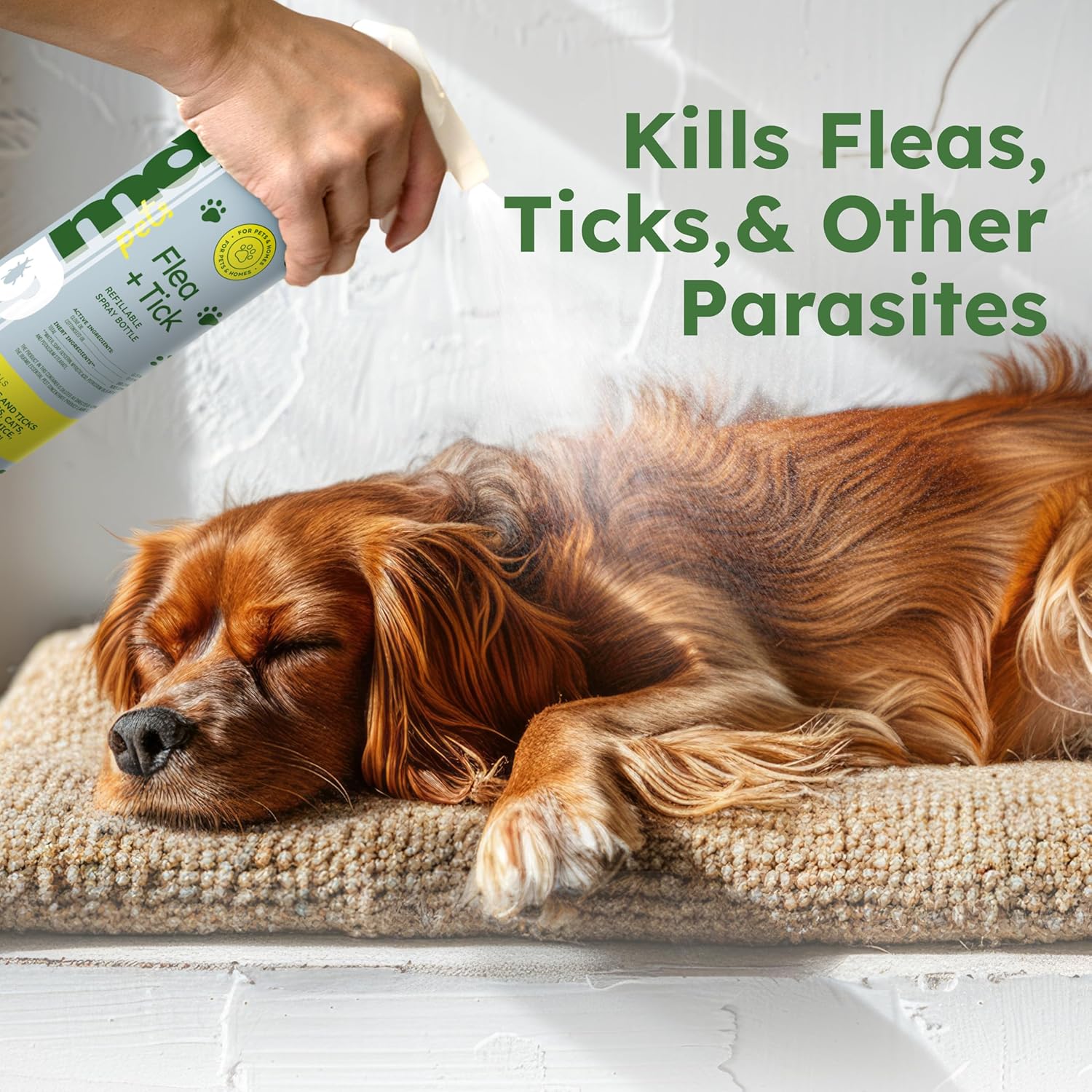 Flea and Tick Concentrate (3.7 Oz, 2 Pack) - Essential Oil-Powered Formula, Controls Fleas, Ticks, Mites in Dogs and Other Furred Animals, Spray on Pet Beds, Kennels