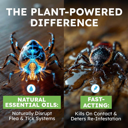 Natural Flea and Tick Spray for Dogs, Cats & Home | Plant-Based Flea Treatment & Tick Prevention with Essential Oils