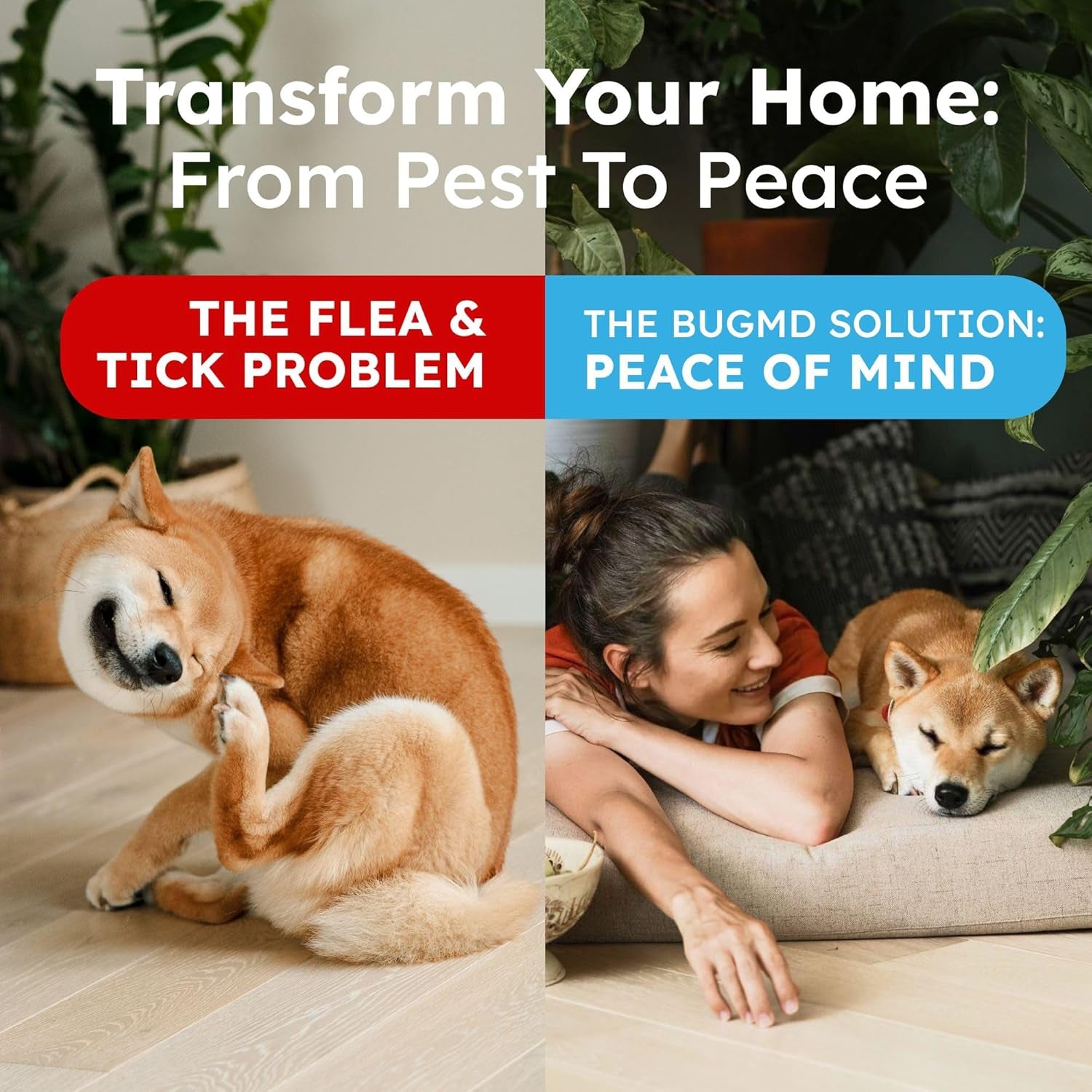 Natural Flea and Tick Spray for Dogs, Cats & Home | Plant-Based Flea Treatment & Tick Prevention with Essential Oils